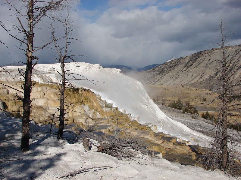 16-Yellowstone 8